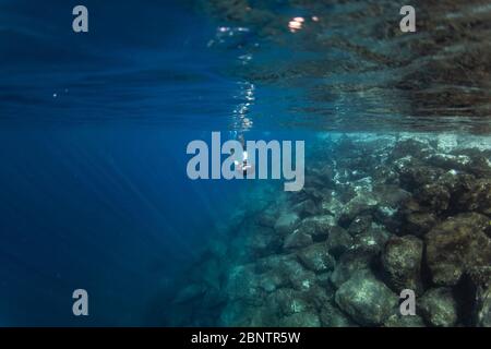Tauchen unter Wasser im flachen Wasser von Teneriffa, Kanarische Inseln, Spanien. Stockfoto