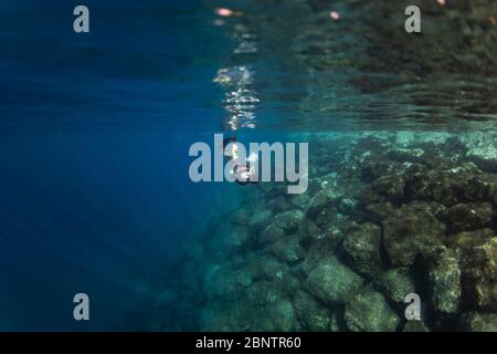 Tauchen unter Wasser im flachen Wasser von Teneriffa, Kanarische Inseln, Spanien. Stockfoto