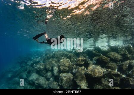 Tauchen unter Wasser im flachen Wasser von Teneriffa, Kanarische Inseln, Spanien. Stockfoto