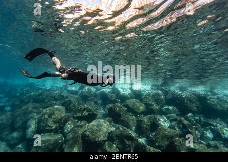 Tauchen unter Wasser im flachen Wasser von Teneriffa, Kanarische Inseln, Spanien. Stockfoto