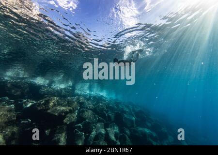 Tauchen unter Wasser im flachen Wasser von Teneriffa, Kanarische Inseln, Spanien. Stockfoto