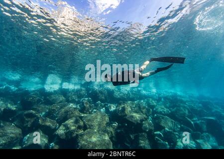 Tauchen unter Wasser im flachen Wasser von Teneriffa, Kanarische Inseln, Spanien. Stockfoto