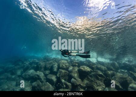 Tauchen unter Wasser im flachen Wasser von Teneriffa, Kanarische Inseln, Spanien. Stockfoto