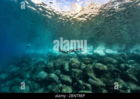 Tauchen unter Wasser im flachen Wasser von Teneriffa, Kanarische Inseln, Spanien. Stockfoto