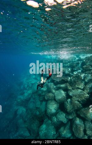 Tauchen unter Wasser im flachen Wasser von Teneriffa, Kanarische Inseln, Spanien. Stockfoto