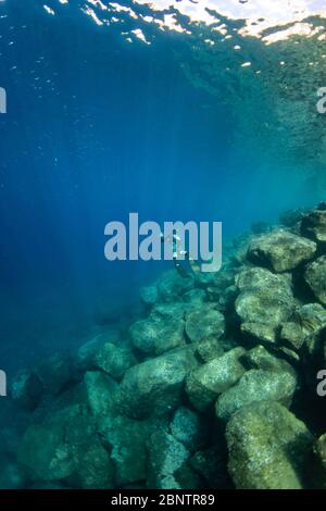 Tauchen unter Wasser im flachen Wasser von Teneriffa, Kanarische Inseln, Spanien. Stockfoto