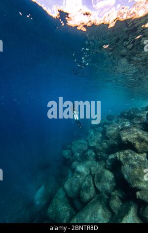 Tauchen unter Wasser im flachen Wasser von Teneriffa, Kanarische Inseln, Spanien. Stockfoto