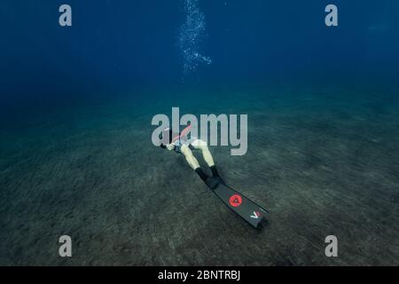 Tauchen unter Wasser im flachen Wasser von Teneriffa, Kanarische Inseln, Spanien. Stockfoto