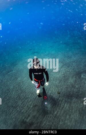 Tauchen unter Wasser im flachen Wasser von Teneriffa, Kanarische Inseln, Spanien. Stockfoto