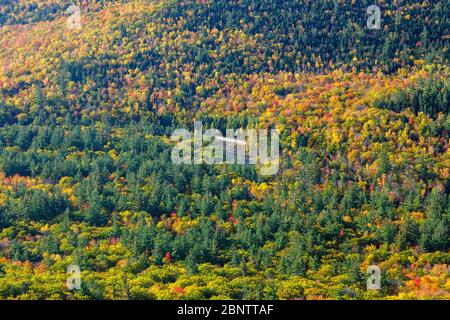 Herbstlaub entlang des Boulder Loop Trail in den White Mountains, New Hampshire. Ein Teil des Kancamagus Highway (Route 112) ist zu sehen. Stockfoto