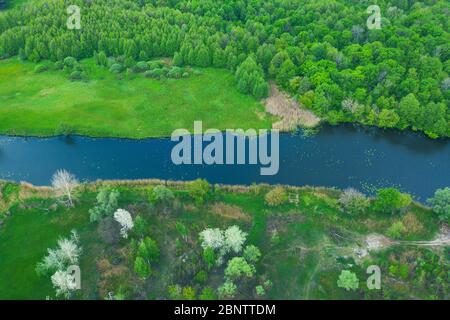 Flussbett mit reinem blauen Wasser und Blätter von Lilien. Ein wilder Fluss aus der Höhe eines Drohnenfluges. Drohnenflug über den Fluss und Bäume. Stockfoto