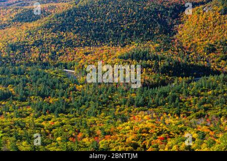 Herbstlaub entlang des Boulder Loop Trail in den White Mountains, New Hampshire. Ein Teil des Kancamagus Highway (Route 112) ist zu sehen. Stockfoto