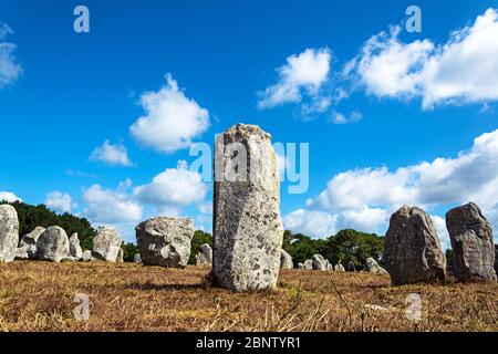 Prähistorische megalithische Menhire-Ausrichtung in Carnac, Bretagne. Frankreich Stockfoto