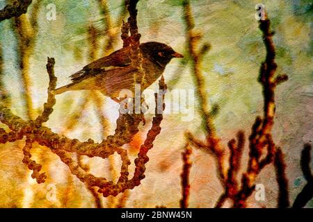 ilustration Little Bird auf einem Zweig Baumzweig thront. Stockfoto