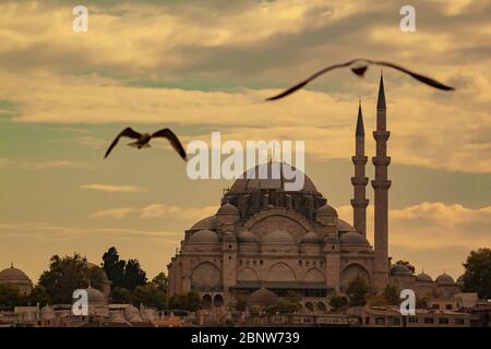 Stadtbild von Istanbul mit Silhouetten von alten Moscheen und Minaretten bei Sonnenuntergang Stockfoto