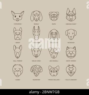 Kopf des Hundes und Welpen Set. Vektor handgezeichnete Hunderassen Stock Vektor
