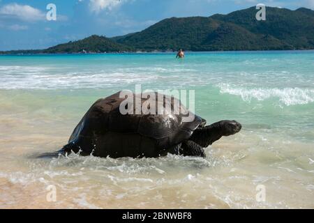 Seychellen ist ein Inselstaat im Indischen Ozean. Eine Gruppe von 44 Inseln granitisch und coraline. Ein Paradies für Reisende Stockfoto