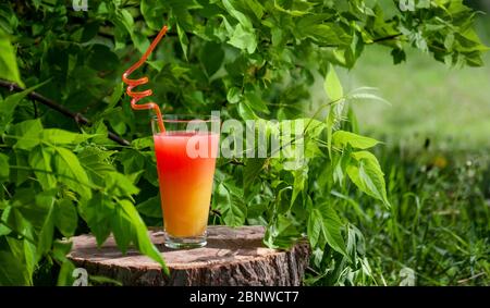 Sommercocktail im Glas auf Holzstumpf im Wald. Erfrischendes Getränkekonzept. Banner. Stockfoto