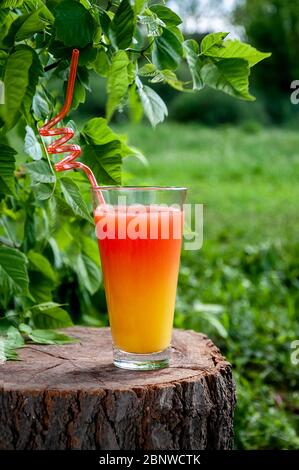 Sommercocktail im Glas auf Holzstumpf im Wald. Erfrischendes Getränkekonzept. Stockfoto