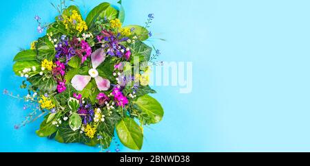 Nahaufnahme von bunten Strauß von wilden Blumen auf blauem Hintergrund mit Kopierraum Stockfoto