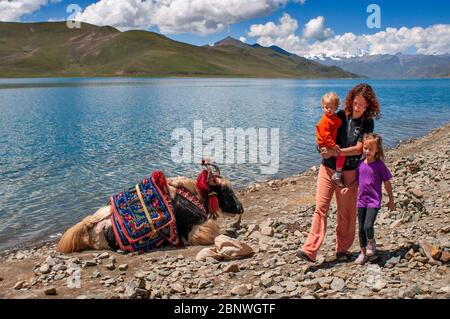 Yak in Yamdrok-tso auch Yamdrok See genannt, oder Yamzho Yumco ist ein hoher heiliger Bergsee in Tibet China. Eingebettet zwischen den Flanken des stumpfen Grauens Stockfoto