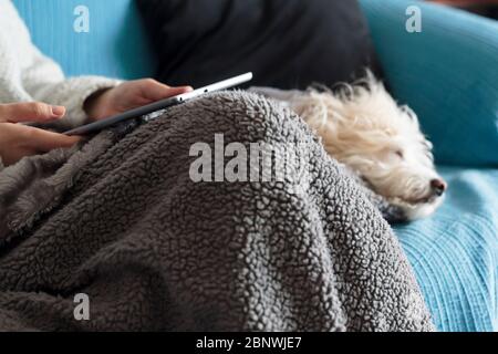 Frau sitzt auf dem Sofa mit warmen Decke bedeckt und hält eine Tablette, und niedlichen Hund schläft an ihrer Seite Stockfoto