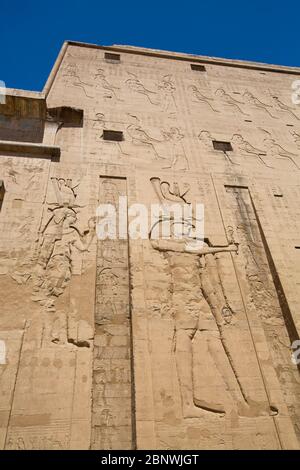 Bas Relief des Gottes Horus (rechts), erster Pylon, Tempel des Horus, Edfu, Ägypten Stockfoto