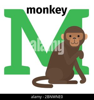 Englische Tiere Zoo Alphabet mit Buchstaben M. Monkey Vektor Illustration Stock Vektor