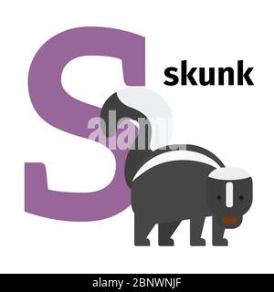 Englische Tiere Zoo Alphabet mit Buchstaben S. Skunk Vektor Illustration Stock Vektor
