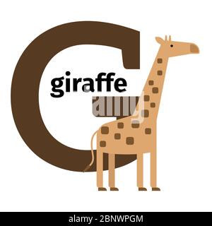 Englische Tiere Zoo Alphabet mit Buchstaben G. Giraffe Vektor-Illustration Stock Vektor
