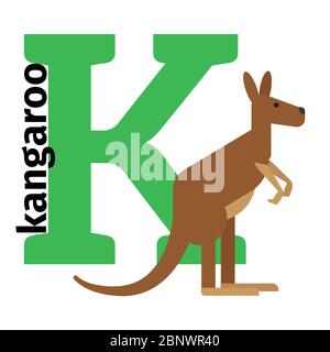 Englische Tiere Zoo Alphabet mit dem Buchstaben K. Kangaro Vektor Illustration Stock Vektor