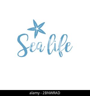 Seestern Sea Life Schriftzug Design isoliert auf weiß. Vektorgrafik Stock Vektor