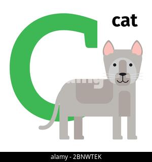 Englische Tiere Zoo Alphabet mit Buchstaben C. Katze Vektor Illustration Stock Vektor