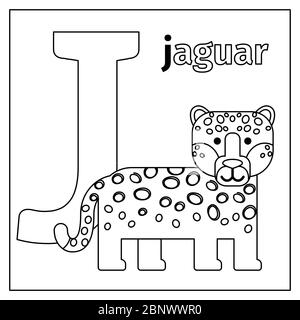 Malvorlagen oder Karten für Kinder mit englischen Tieren Zoo Alphabet. Jaguar, Buchstabe J Vektorgrafik Stock Vektor