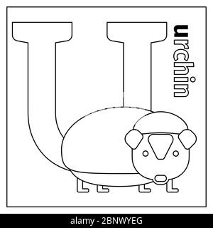 Malvorlagen oder Karten für Kinder mit englischen Tieren Zoo Alphabet. Seeigel, Buchstabe U Vektorgrafik Stock Vektor