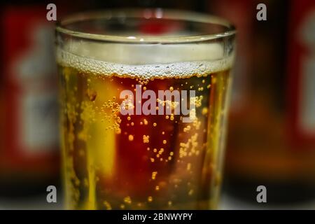 Extreme Nahaufnahme eines Glases Bier im weichen Fokus, Blasen können noch gesehen werden, obwohl sie nach oben reisen. Stockfoto
