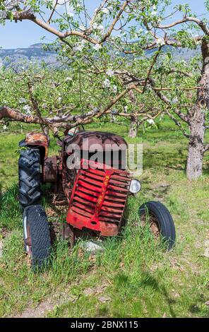 Keremos, British Columbia, Kanada - 3. Mai 2019: Ein rostiger antiker Massey Harris Traktor mit einem gebrochenen Gitter Stockfoto