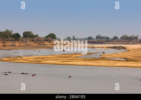 Landschaft des South Luangwa National Park, Sambia Stockfoto