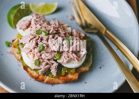 Offenes Sandwich mit Thunfisch aus der Dose, Ei und Gurkendressing mit Limette. Stockfoto