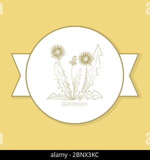 Löwenzahn Medizin Pflanze, gelbe Label-Design in Kreisform. Vektorgrafik Stock Vektor