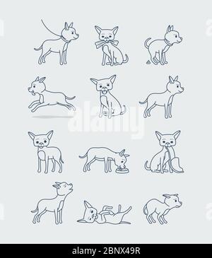 Niedlichen Hund Doodle dünne Linie Symbole gesetzt. Kleiner chihuahua Hund in verschiedenen Posen Vektor-Charakter Stock Vektor