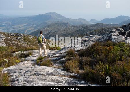 Der Smuts Track auf dem Gipfel des Tafelbergs mit Blick auf Hout Bay, Kapstadt Stockfoto