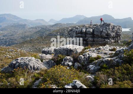 Der Smuts Track auf dem Gipfel des Tafelbergs mit Blick auf Hout Bay, Kapstadt Stockfoto