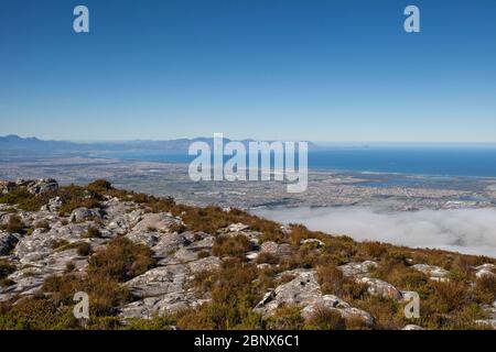 Blick vom Smuts Track auf den Gipfel des Tafelbergs, Kapstadt Stockfoto