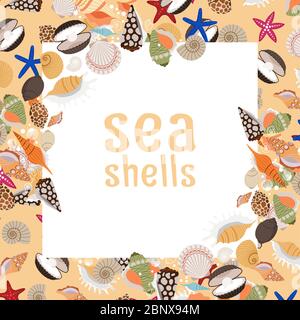 Muscheln Hintergrund mit quadratischen Rahmen und Text. Vektorgrafik Stock Vektor