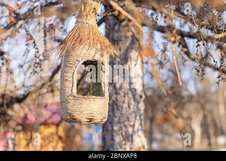 Ein Vogelfutterhäuschen aus Faden und eine Plastikflasche hängt im Park an einem Baum Stockfoto
