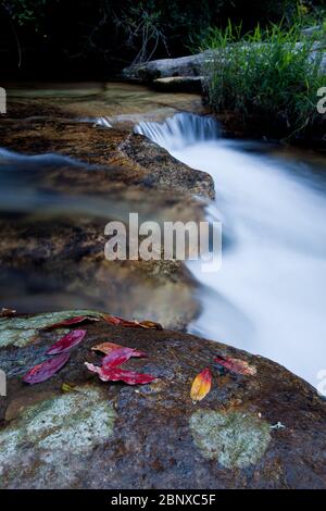 Lange Exposition wirbelndes Wasser Herbstblätter, Felsen Stockfoto