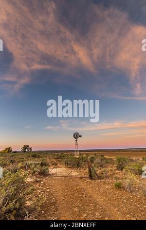 Windmühle in karoo unter rosa bewölktem Himmel Landschaft Stockfoto