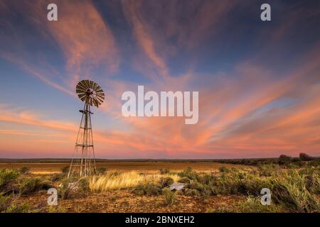 Windmühle in karoo unter rosa bewölktem Himmel Landschaft Stockfoto