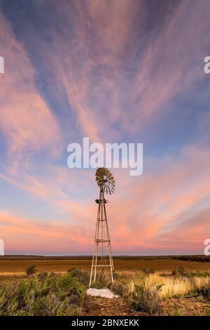 Windmühle in karoo unter rosa bewölktem Himmel Landschaft Stockfoto